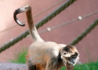 Melbourne Zoo